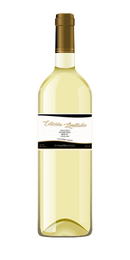 DISEÑOS CAVA VINOS (130 x 260 px) (2)